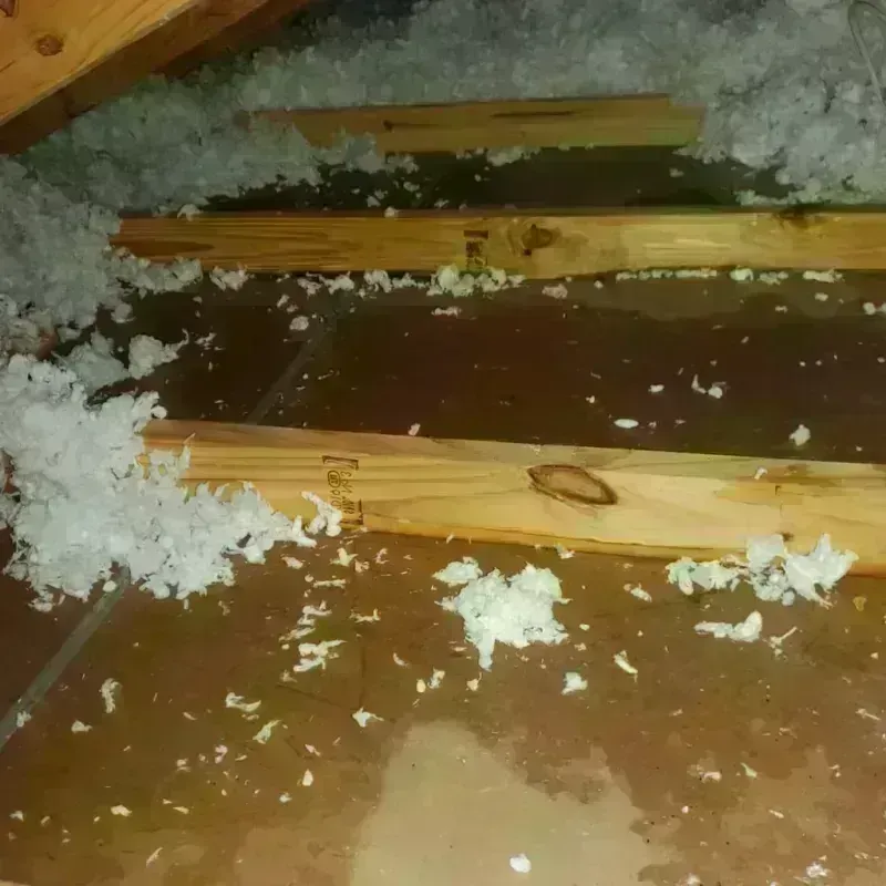 Attic Water Damage in East Cleveland, TN