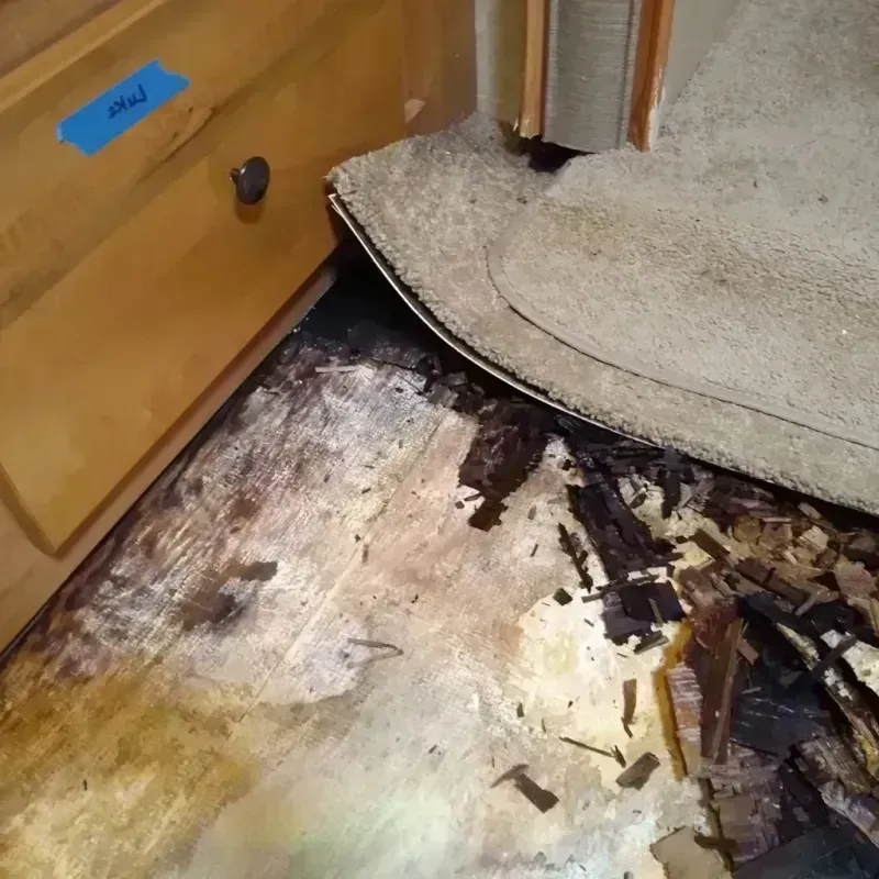 Wood Floor Water Damage in East Cleveland, TN